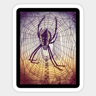 Spider Web in grunge Sticker